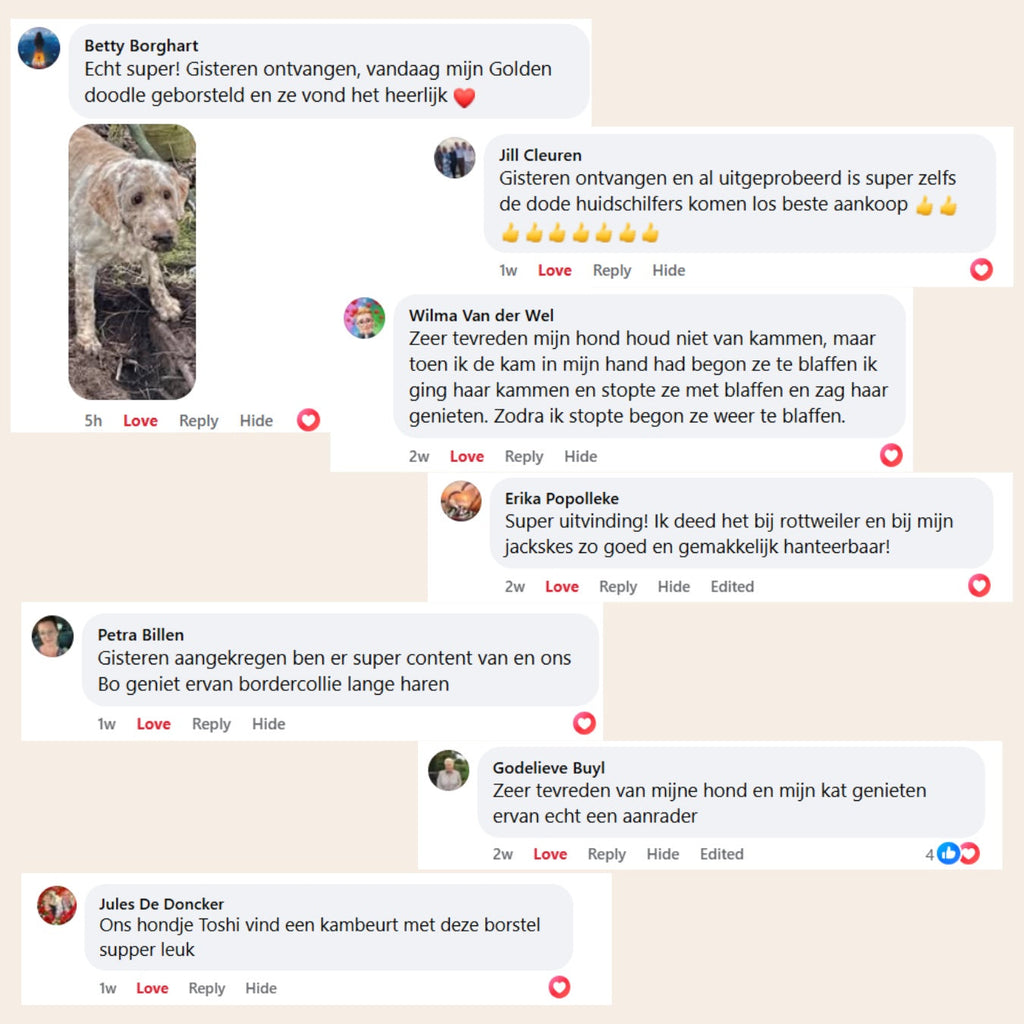Steam Buddy Pro® | Professionele Vachtverzorgings Borstel voor alle Honden & Katten