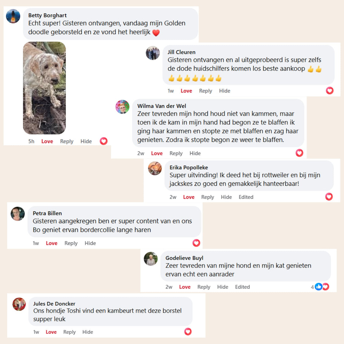 Steam Buddy Pro® | Professionele Vachtverzorgings Borstel voor alle Honden & Katten