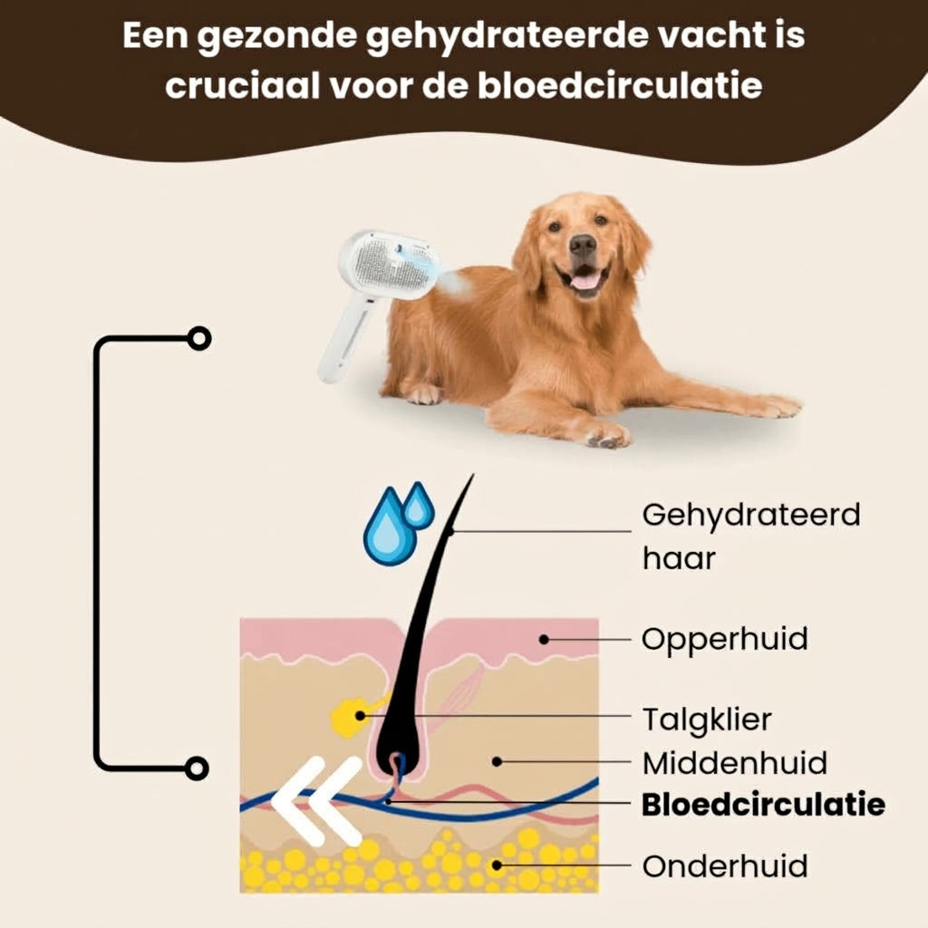 Steam Buddy Pro® | Professionele Vachtverzorgings Borstel voor alle Honden & Katten