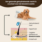 Steam Buddy Pro® | Professionele Vachtverzorgings Borstel voor alle Honden & Katten
