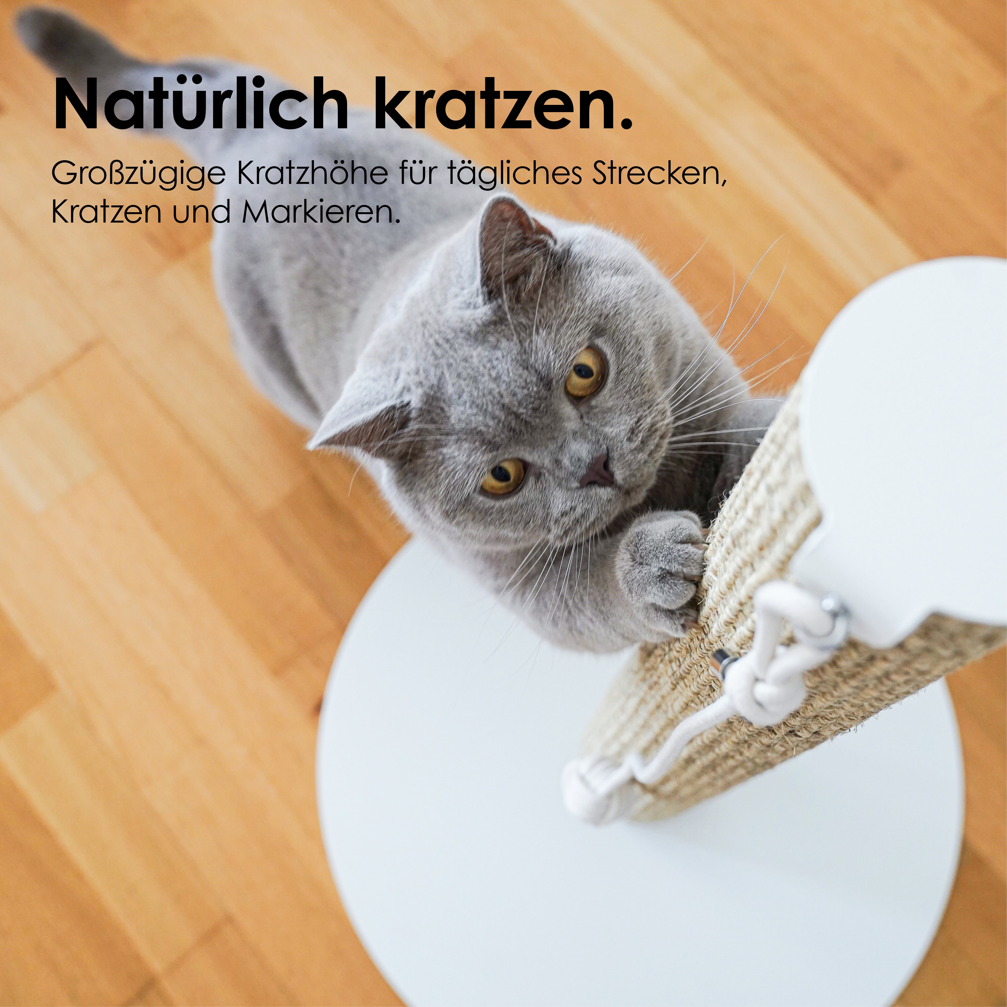 SCRATCHPOLE Kratzstamm