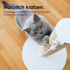 SCRATCHPOLE Kratzstamm