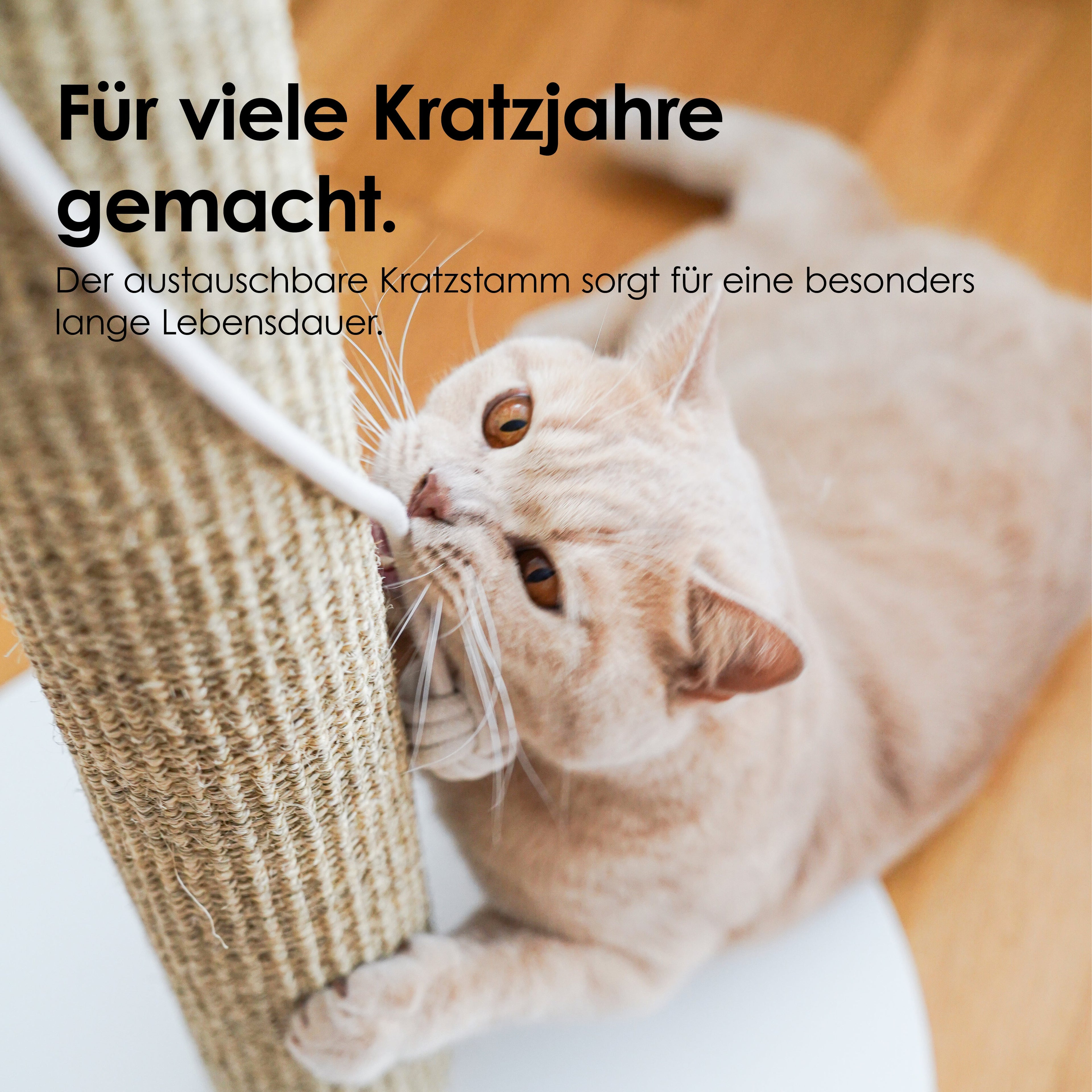 SCRATCHPOLE Kratzstamm