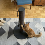 SCRATCHPOLE Kratzstamm