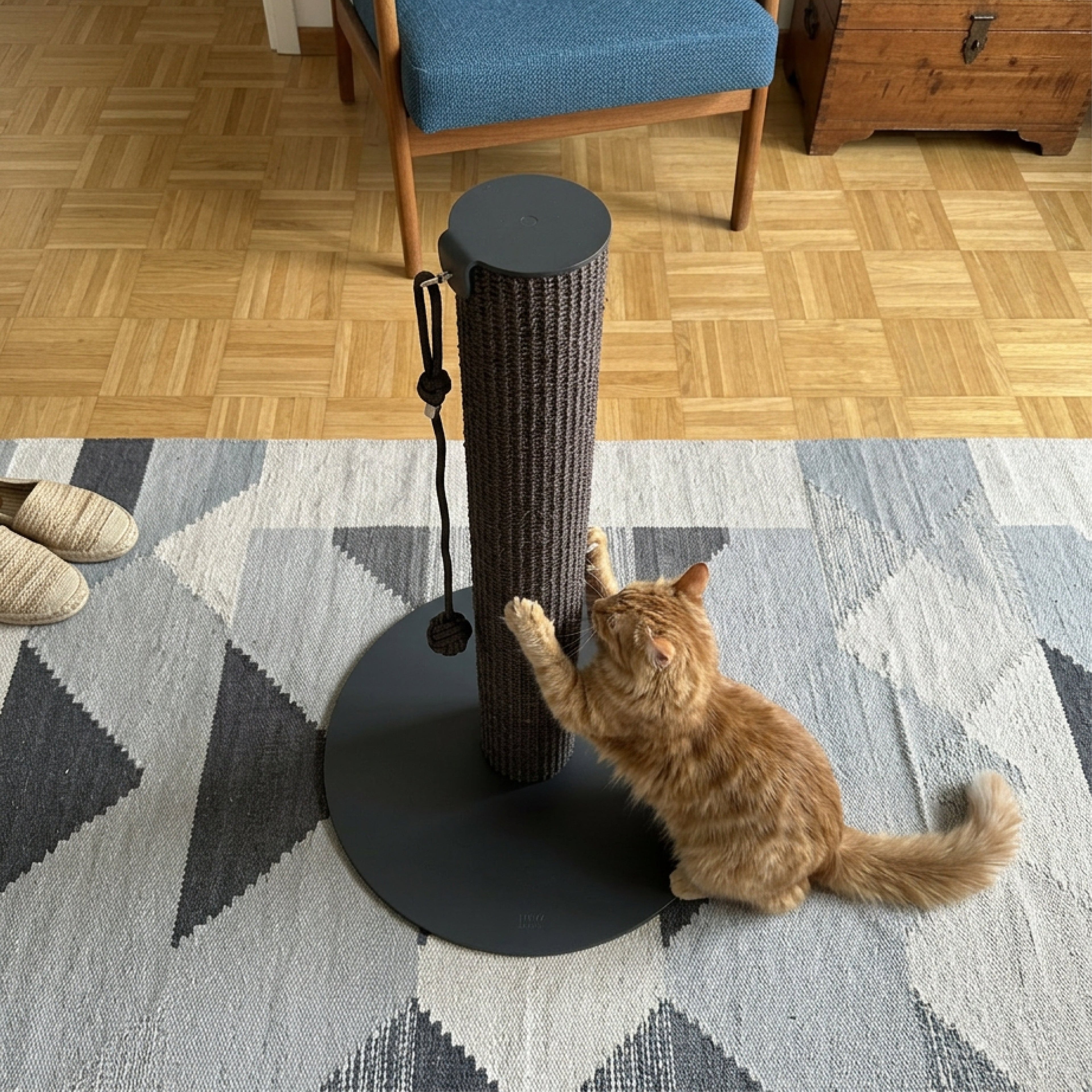 SCRATCHPOLE Kratzstamm