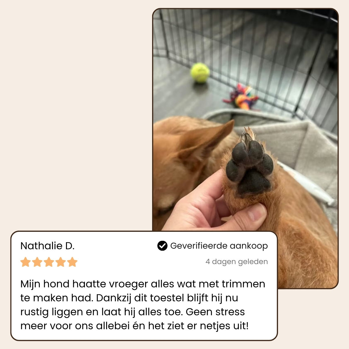 Trim Buddy Pro® - Professionele Precisie Trimmer voor alle Honden & Katten