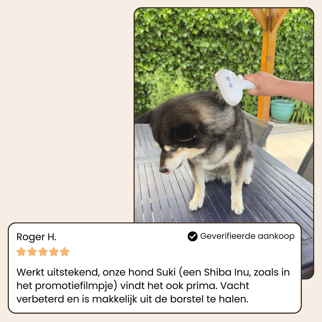 Steam Buddy Pro® | Professionele Vachtverzorgings Borstel voor alle Honden & Katten