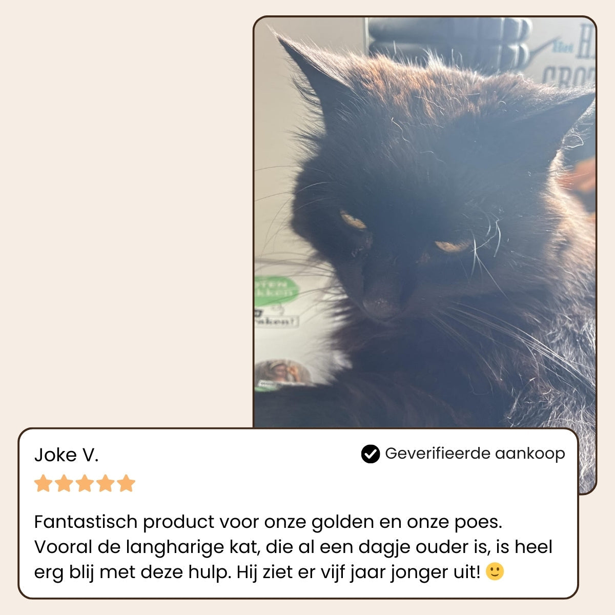 Steam Buddy Pro® | Professionele Vachtverzorgings Borstel voor alle Honden & Katten