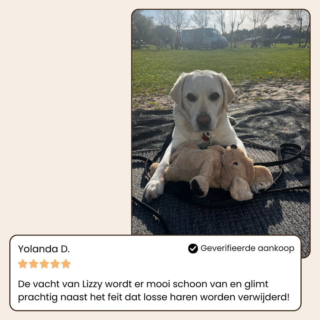 Steam Buddy Pro® | Professionele Vachtverzorgings Borstel voor alle Honden & Katten