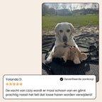 Steam Buddy Pro® | Professionele Vachtverzorgings Borstel voor alle Honden & Katten
