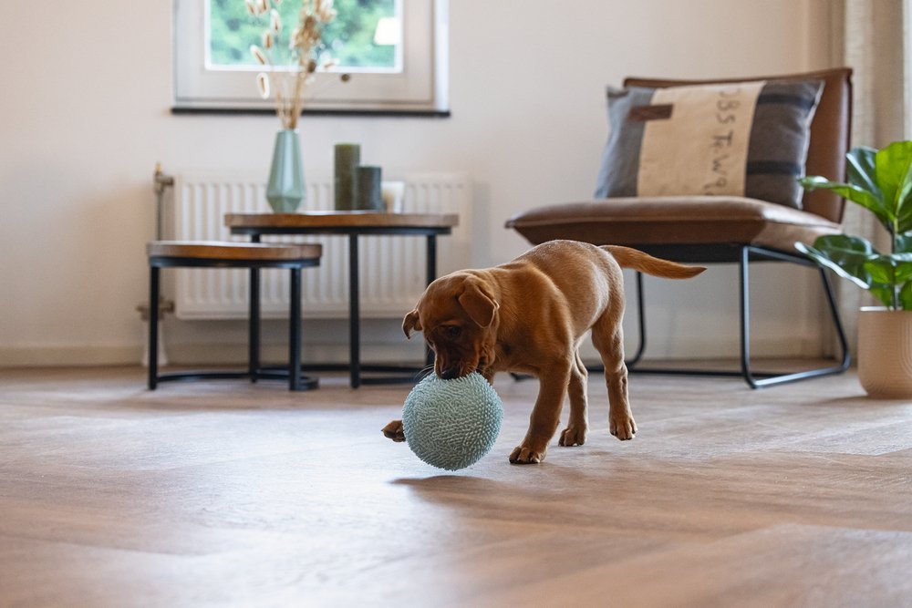 Puppyspeelgoed eco bal lily 14cm