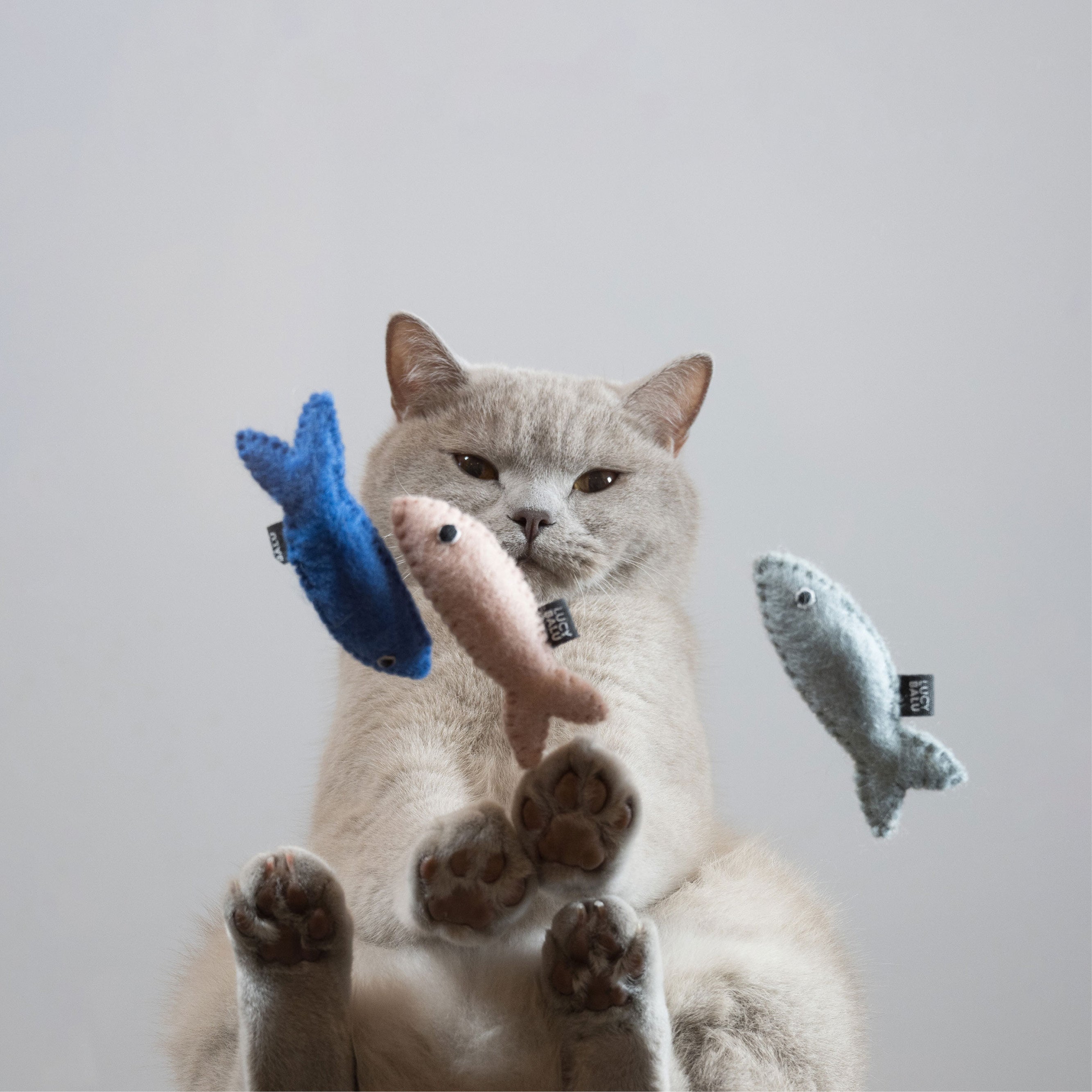 Cat Play Set
