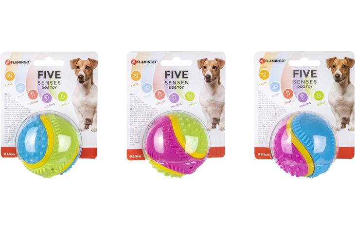 5 senses bal 8cm