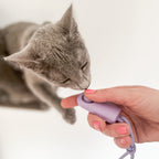 CLICKER Trainings-Klicker | 2er Set
