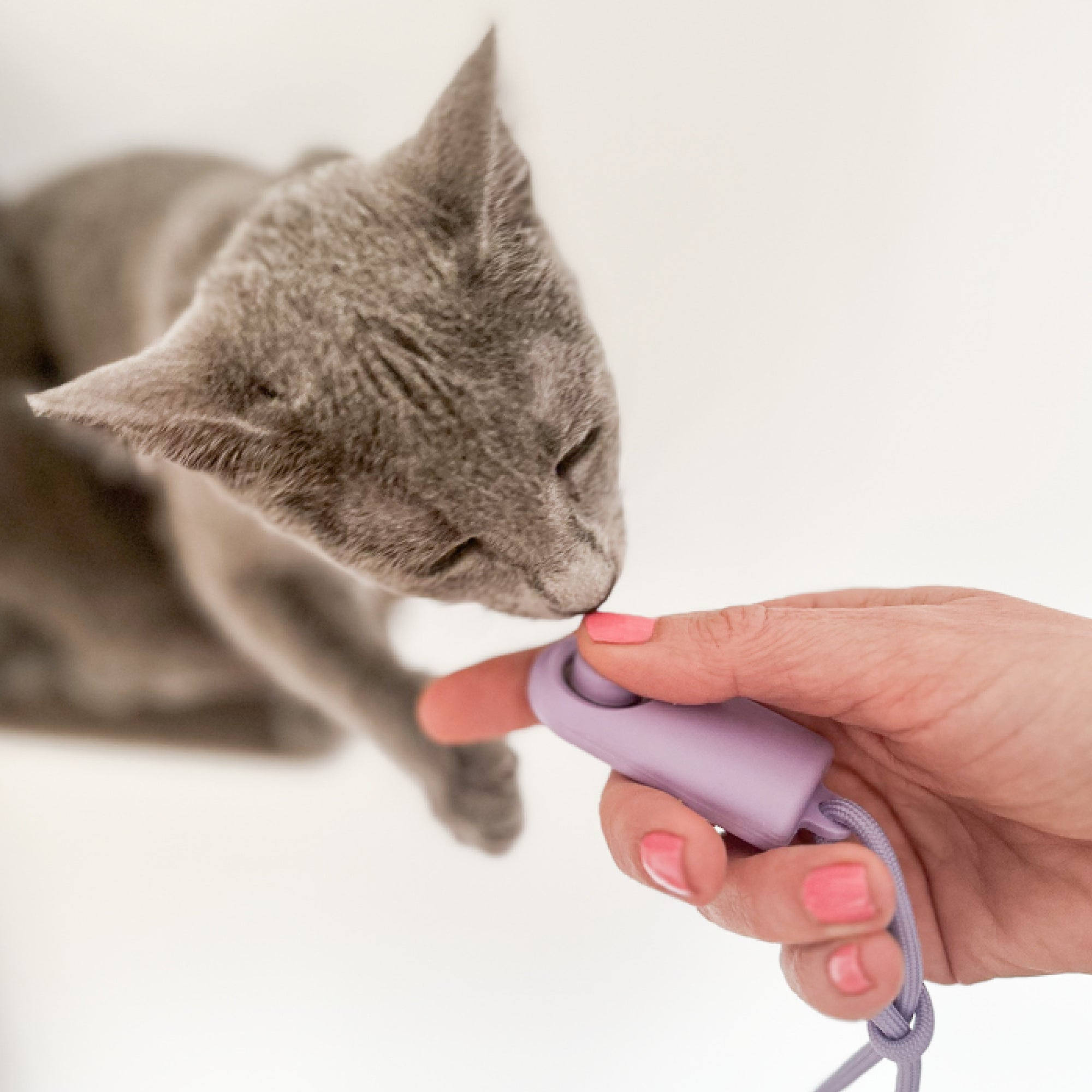 CLICKER Trainings-Klicker | 2er Set