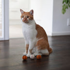 SUPER BALLS Katzenspielzeug