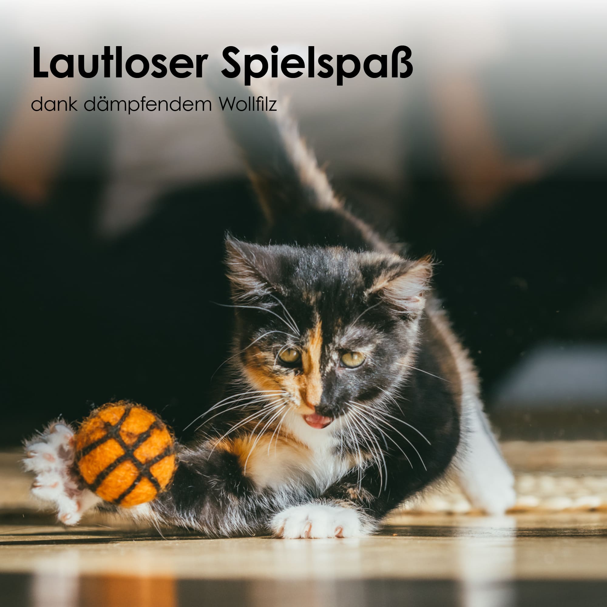 SUPER BALLS Katzenspielzeug