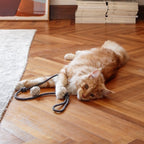 Cat Play Set