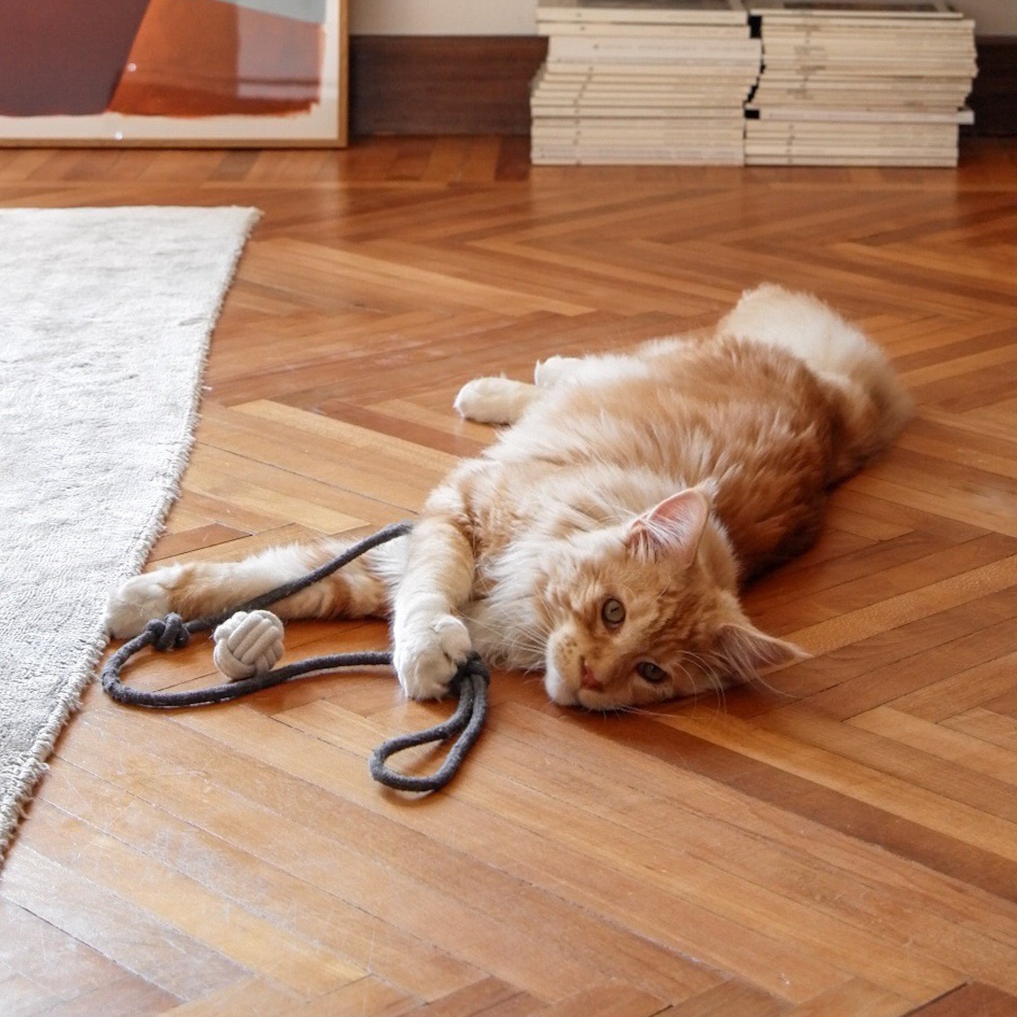 Cat Play Set