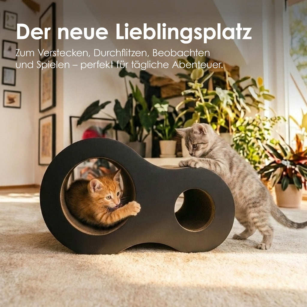 PLAYGROUND Kratzwelt