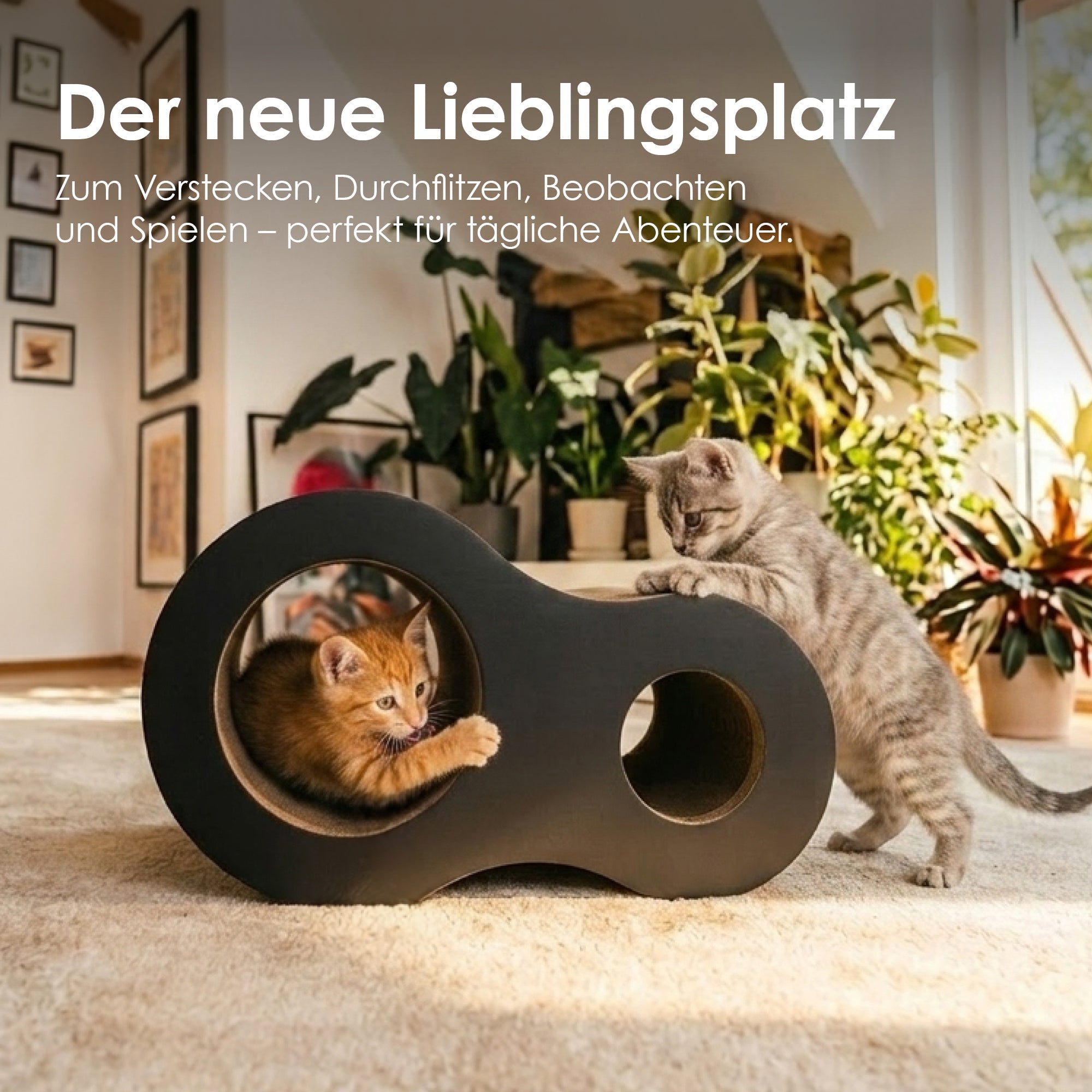 PLAYGROUND Kratzwelt
