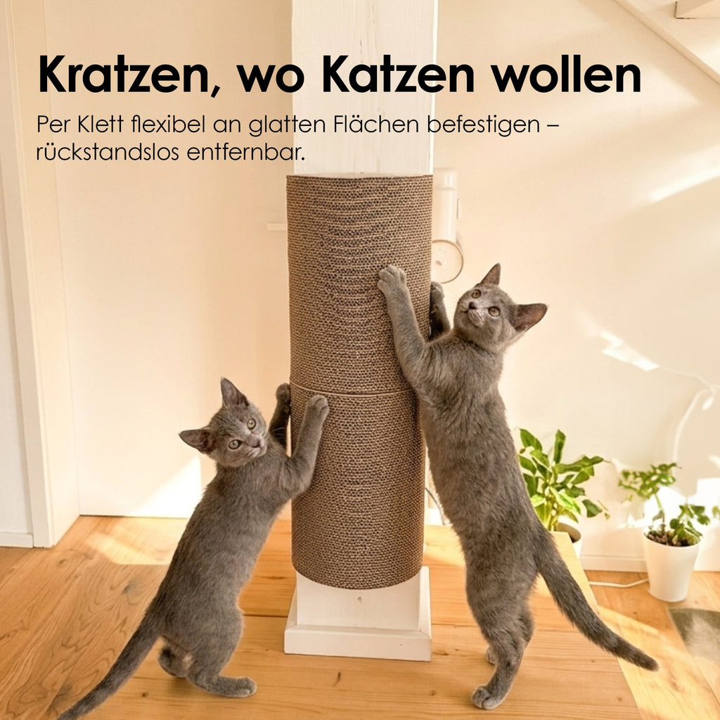 PLAYGROUND Kratzwelt