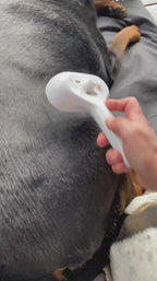 Steam Buddy Pro® | Professionele Vachtverzorgings Borstel voor alle Honden & Katten