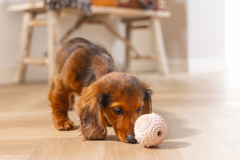 Puppybal rubber dental roze 5cm
