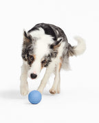 Signature Ball