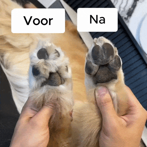 Trim Buddy Pro® - Professionele Precisie Trimmer voor alle Honden & Katten