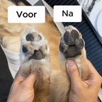 Trim Buddy Pro® - Professionele Precisie Trimmer voor alle Honden & Katten